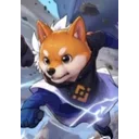 bdog
