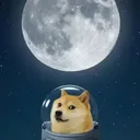 Going To The Moon