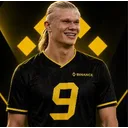 Haaland