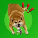 chonk