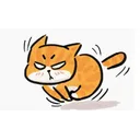 你们都是黑马，我是橘猫