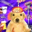 Brain Washed Jotchua