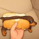 Dogster