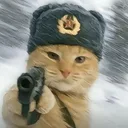达瓦里氏小猫