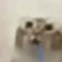 阿巴阿巴