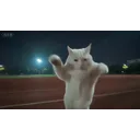 抖音爆火热舞