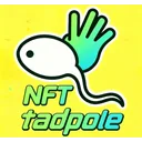小蝌蚪NFT