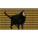 BlackCat