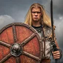 The Vikings